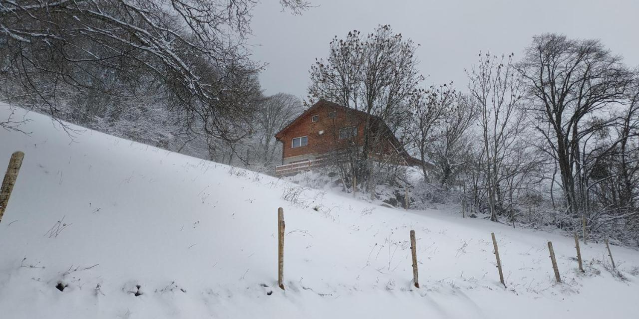 L Ame Et Son Du Coeur Villa Dorenaz Exterior photo